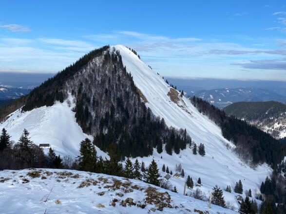 Blick von der Loibersbacher Höhe über die Oberwiesalm auf den Faistenauer Schafberg. Der Aufstiegsweg führt im Bild sichtbar am Rücken entlang zum Gipfel.
