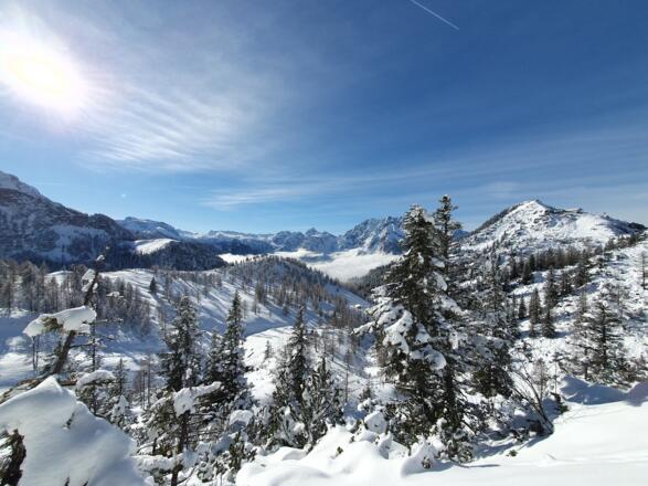 Zur_Bergstation_20