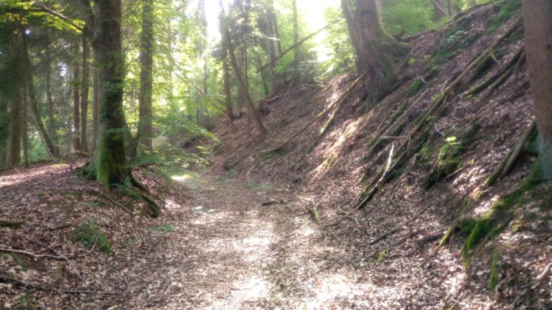 Hohlweg Richtung Mönchröden
