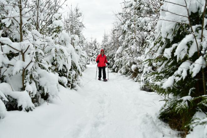 Traumhaft schöner Moorwanderweg
