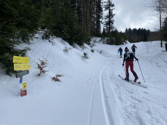 Der Erste Teil der Tour geht über den Forstweg (meist sogar mit der Pistenraupe präpariert)