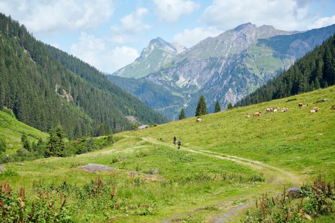 Herrliche Alp- und Berglandschaft im Nenzigasttal