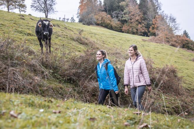 Wandern