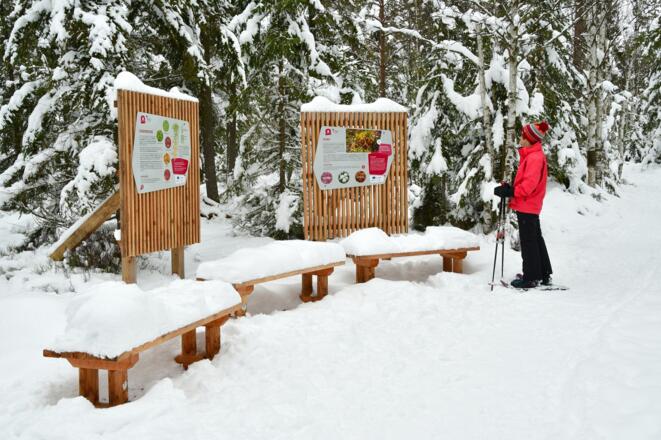 Zahlreiche Infotafeln begleiten uns durch das Tannermoor