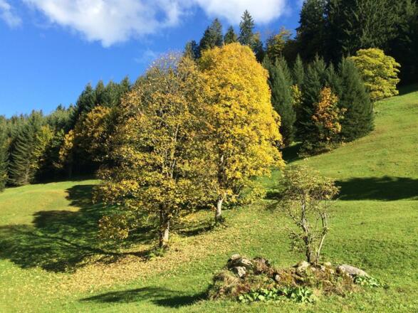 Herbst 2015