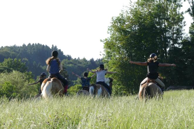 Reiten am Hof (Halle)und im Gelände