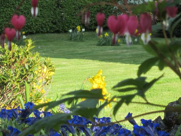 Unser Garten mit Liegewiese