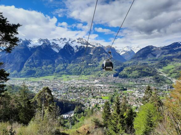Frühlingserwachen am Muttersberg