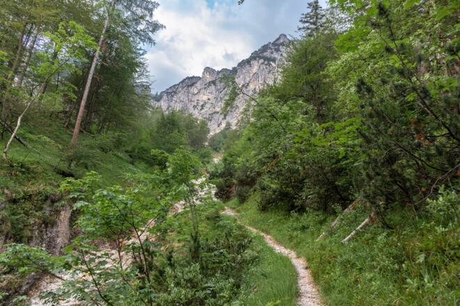 Alpgartengraben