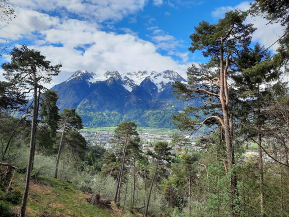 Ausblick auf Bludenz, Bürs und den Rätikon