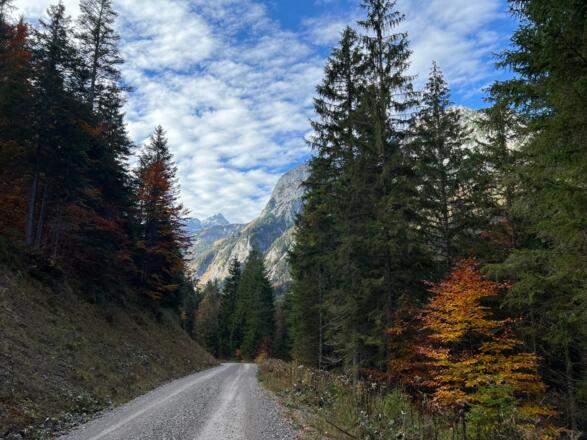 Forstweg zum kleinen Ahornboden