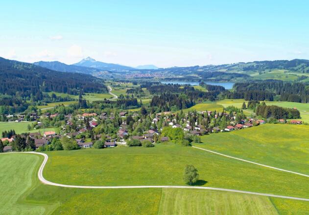 Luftaufnahme Reichenbach