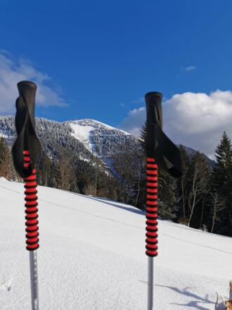 Skistöcke Skitour am Schlenken
