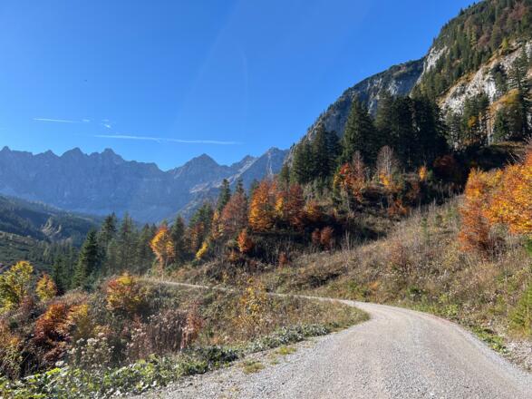 Forstweg zum kleinen Ahornboden