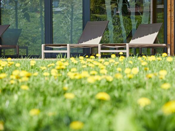 hotel_krone_stein_aussen_spa_wiese_liegen