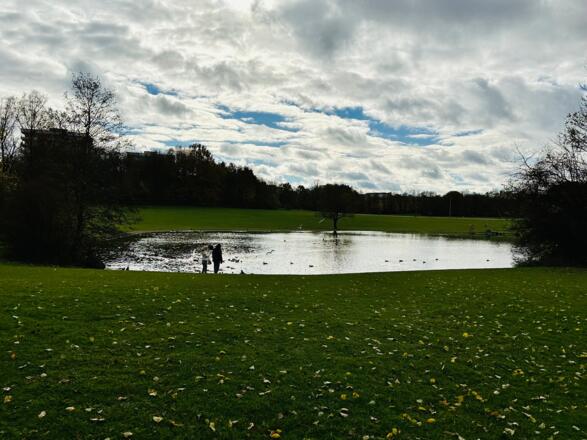 Der Ostpark See mit seinen tierischen Bewohnern