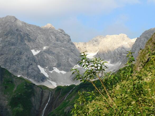 Braunarlspitze Aug 20 (30)