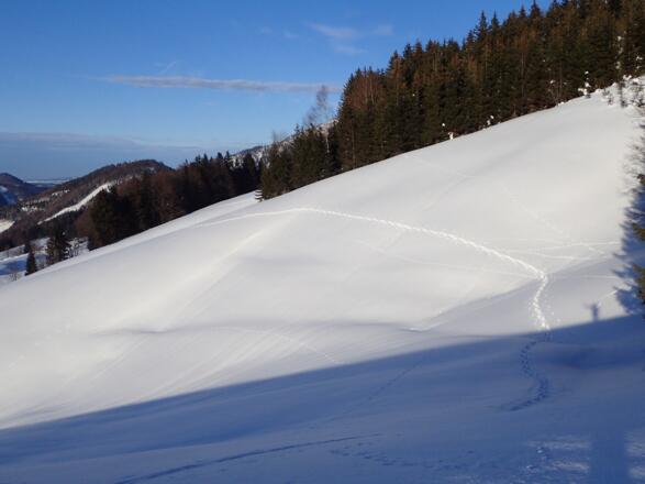 Querung am Höhenweg