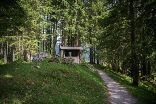 Moserpromenade im Kellerwald