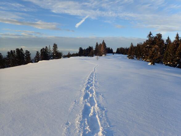 Unterwegs am Tanzboden