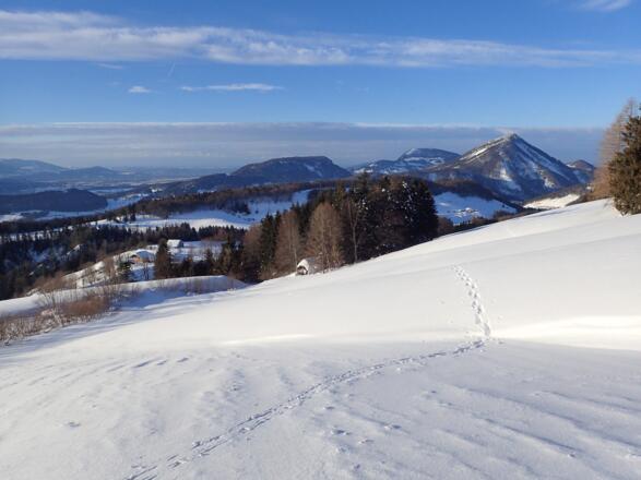 Der Blick reicht bis weit hinaus ins Flachland