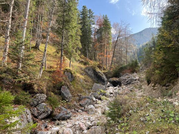 Beim Schindeltal "Steinberg Runde"