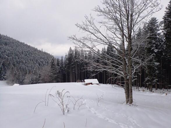 Bei der Sattelalm