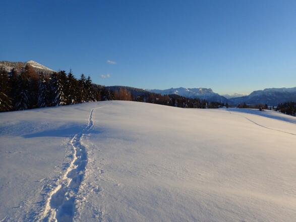 Blick Richtung Tennengebirge und Zillreith