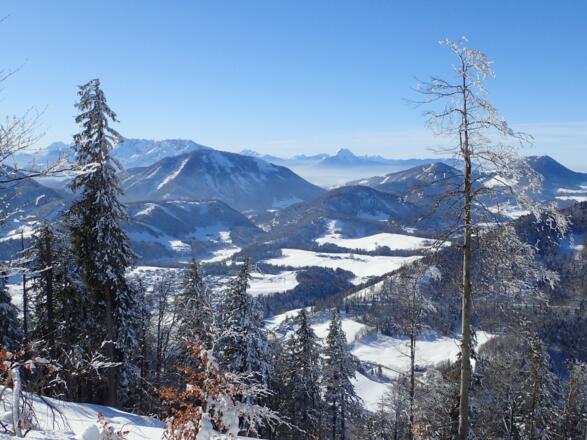 Ausblick vom Schmiedhorn an einem sonnigen Tag