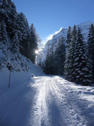 Wandern, Schlitteln, Schifahren, Schitouren gehen