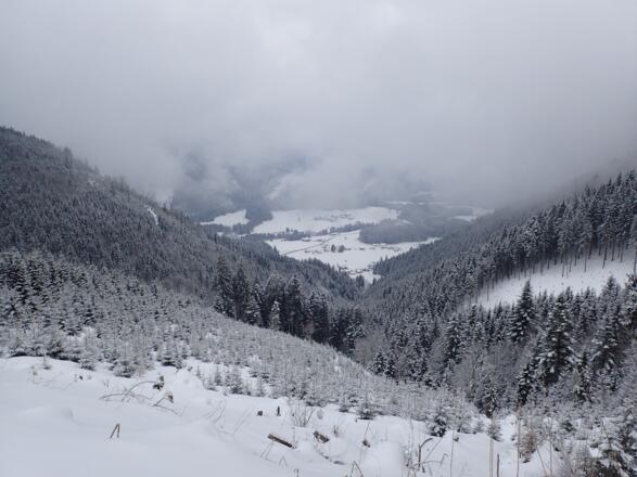 Schmiedhorngraben, Blick in die Tiefbrunnau