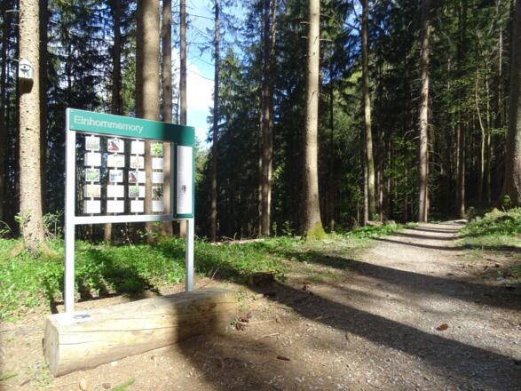 Memory-Spiel am Montikel