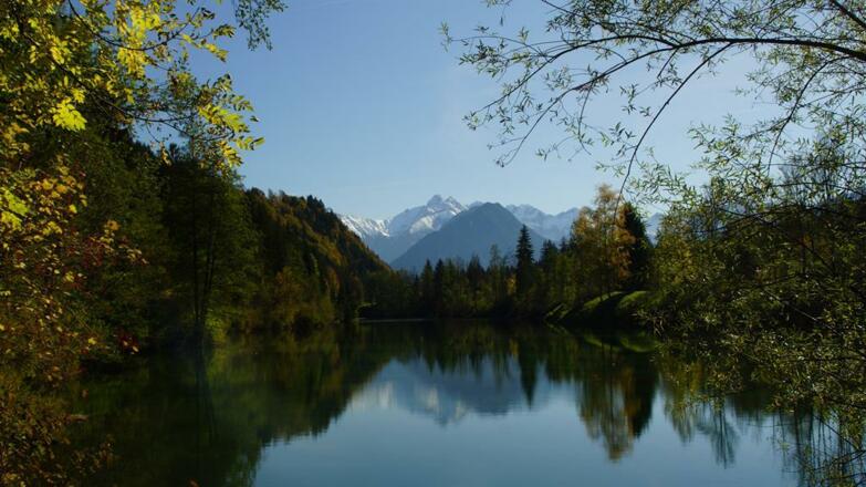 Auwaldsee bei Fischen-Au