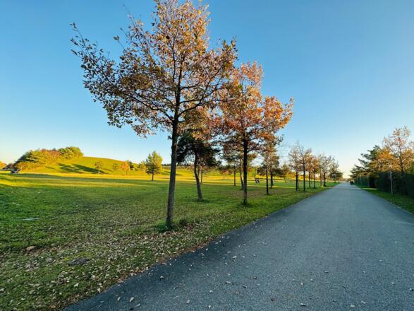 Der Riemer Park