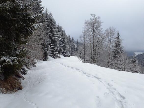 Am Weg zum Schmiedhorn