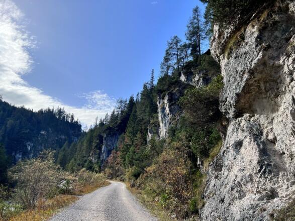 Entlang der Steinberger Ache