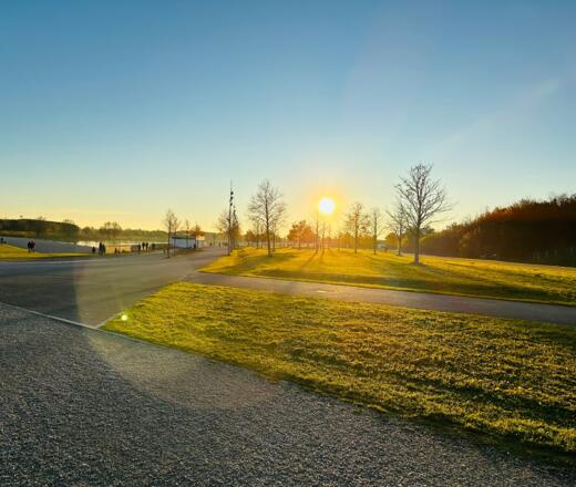 Goldene Stunde im Riemer Park