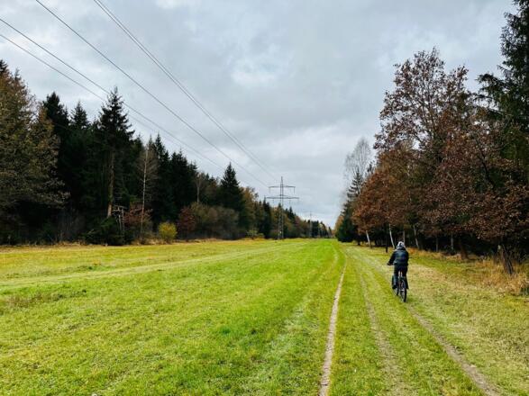 Entlang der Stromschneise durch den Forst