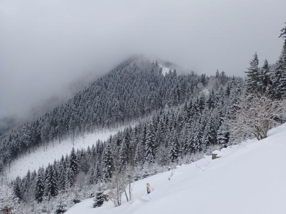 Schmiedhorn im Nebel
