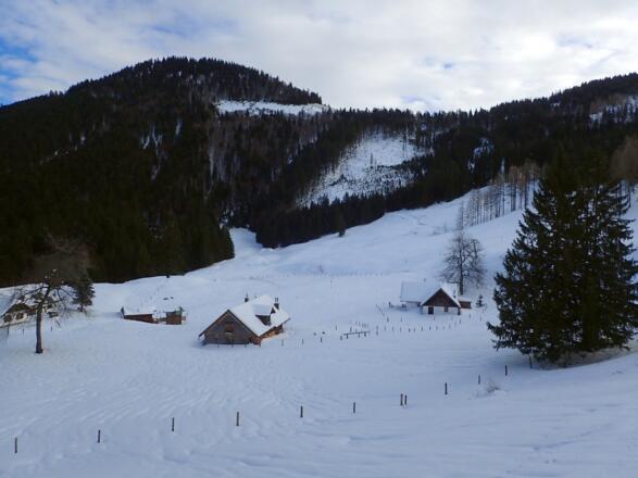 Mittereggalmhütten und Faistenauer Schafberg