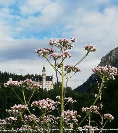Schloss