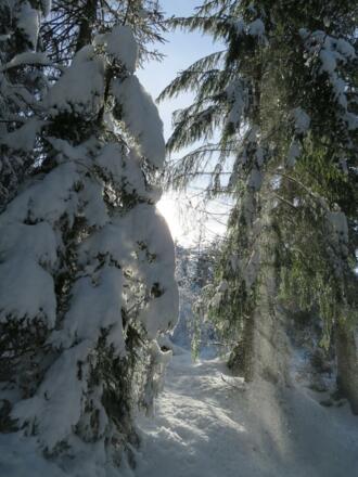 IMG_0770