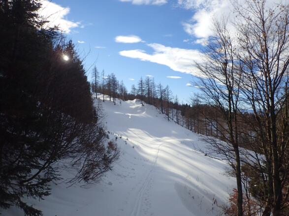 Rückmarsch zur Mittereggalm