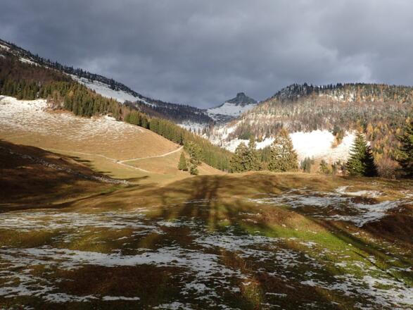 Der weitere Aufstieg zur Tenneralm, dahinter der Schmittenstein