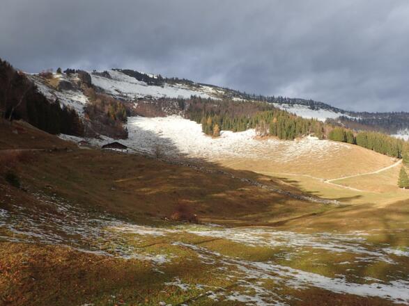 Nigelkaralm und Schlenken