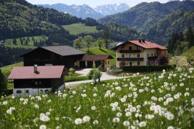 Apartment Eckstoa im Sommer