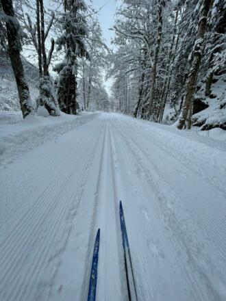 Langlaufen_entlang_der_Alfenz_(c)_Andrea_Fritz_-_A