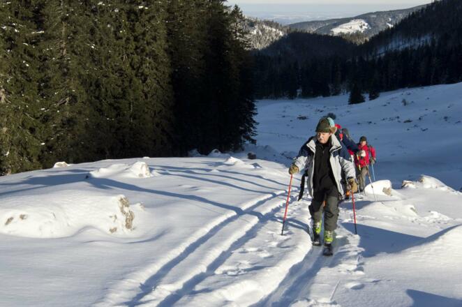 Aufstieg durch das Dürnbachtal zum Brecherspitz