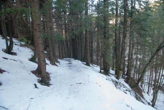 vereister Waldweg zu Beginn des Aufstiegs