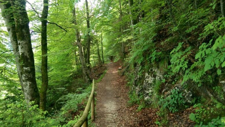 Über dem Schwansee